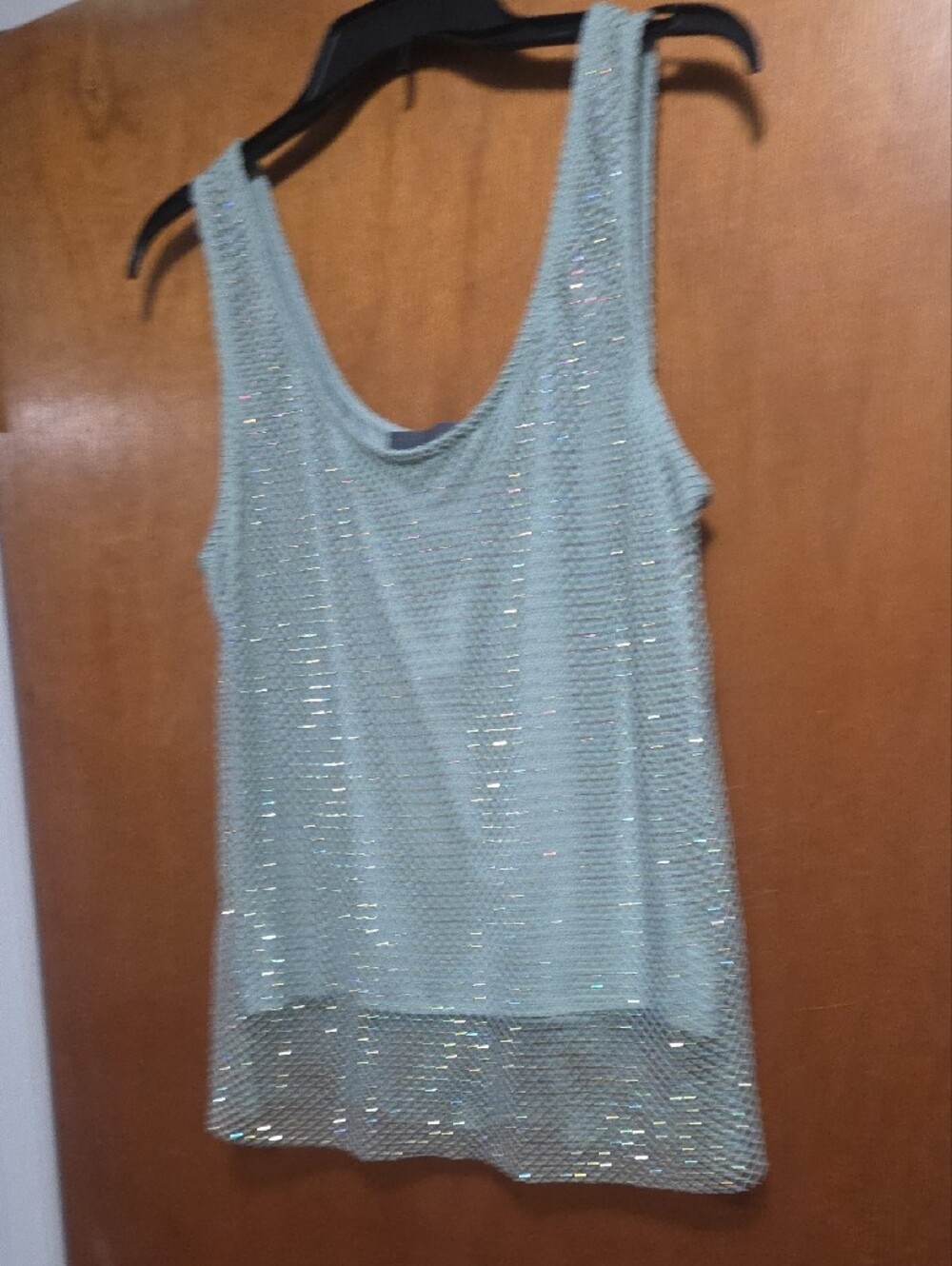 Anthropologie Sunday in Brooklyn Beaded  Shimmery Mint Green Mesh Tank